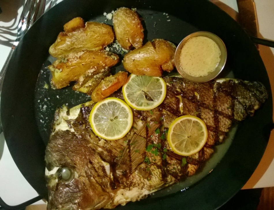 Catch Review Red Bank Red Snapper Fish