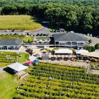 Pocono Libations: Blue Ridge Winery Review